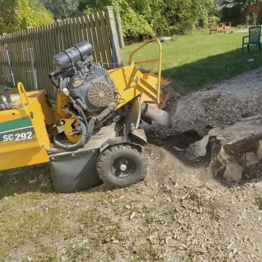 services-2 Stump Grinding